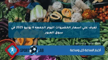 تعرف على أسعار الخضروات اليوم الجمعة 6 يونيو 2025 في سوق العبور